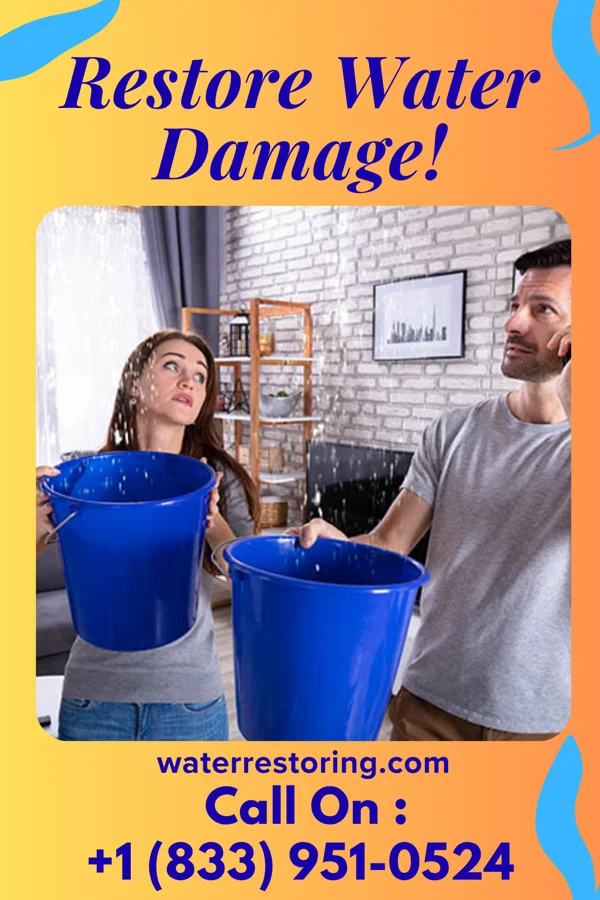 water restoration Premier Water Mitigation Co Whiteville