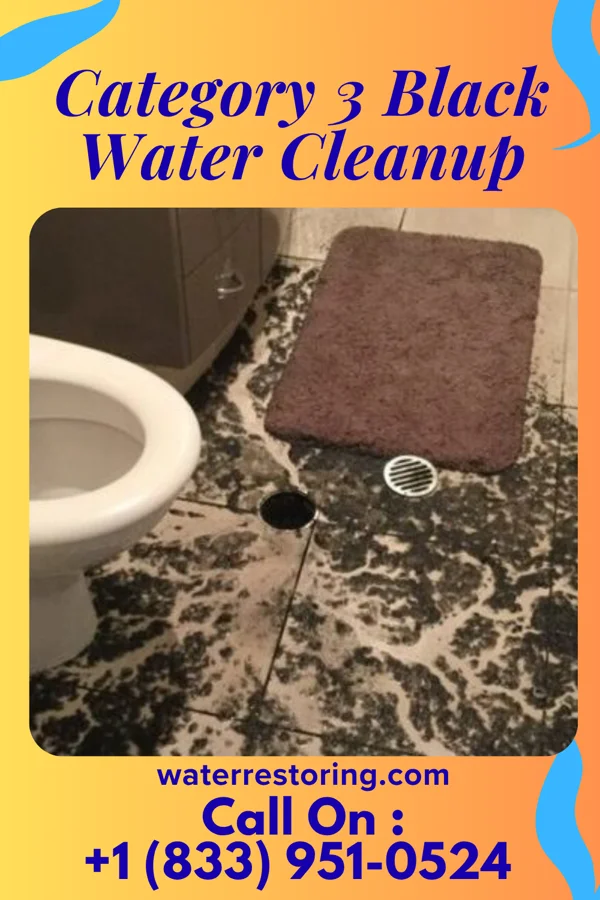 Category 3 Black Water Cleanup in Whiteville, TN