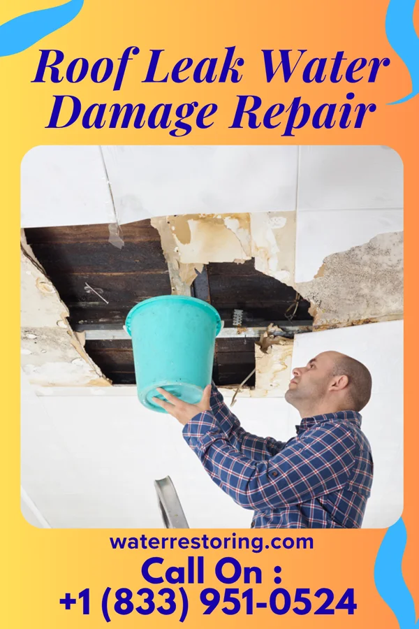Roof Leak Water Damage Repair in Whiteville, TN